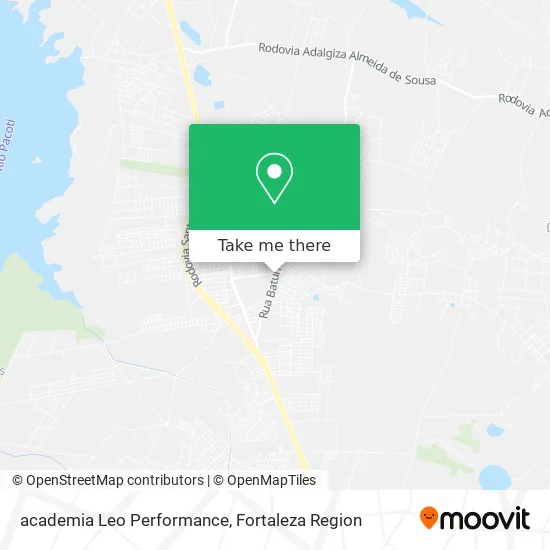academia Leo Performance map