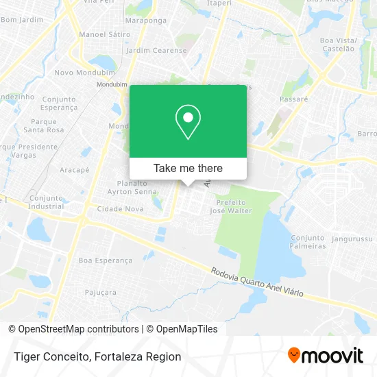 Tiger Conceito map