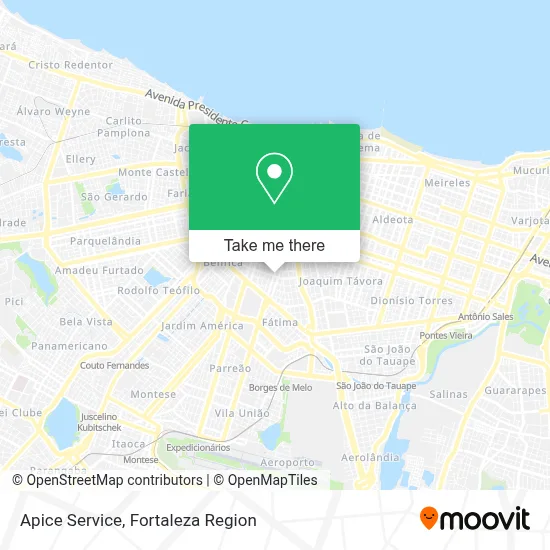 Apice Service map