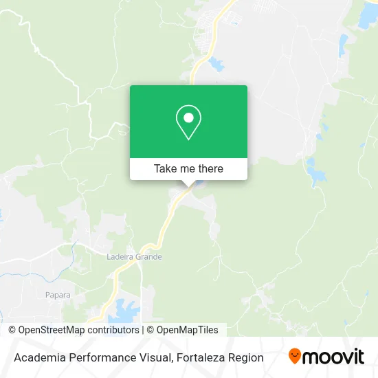 Academia Performance Visual map