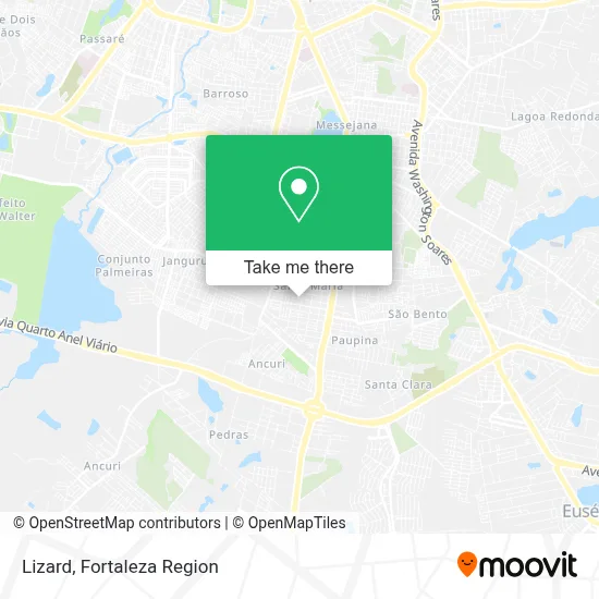 Lizard map