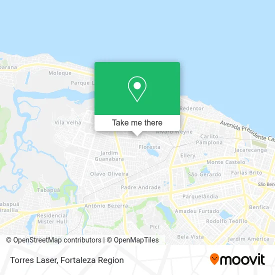 Torres Laser map