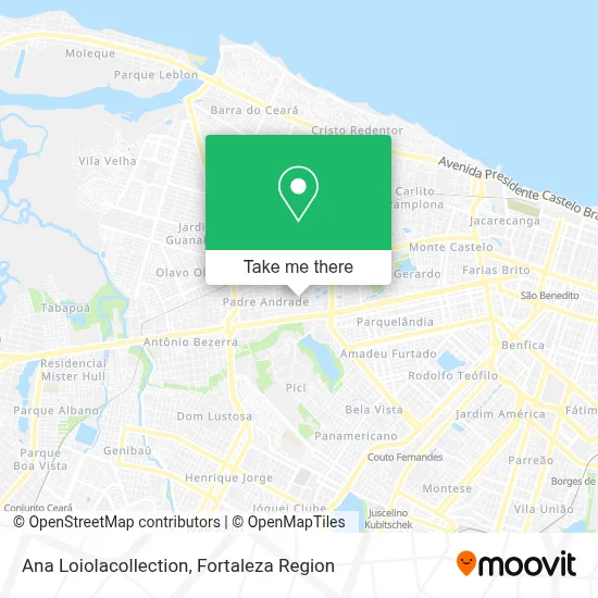 Ana Loiolacollection map