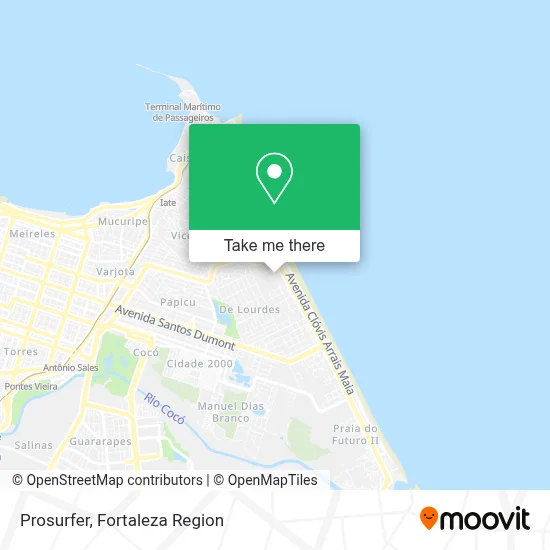 Prosurfer map