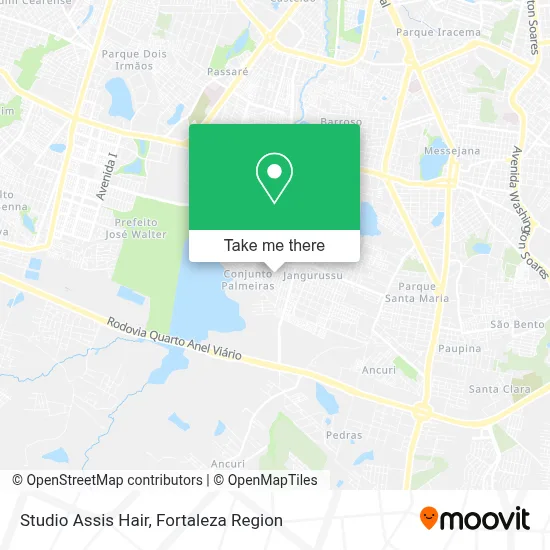 Studio Assis Hair map
