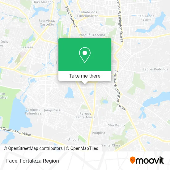 Face map
