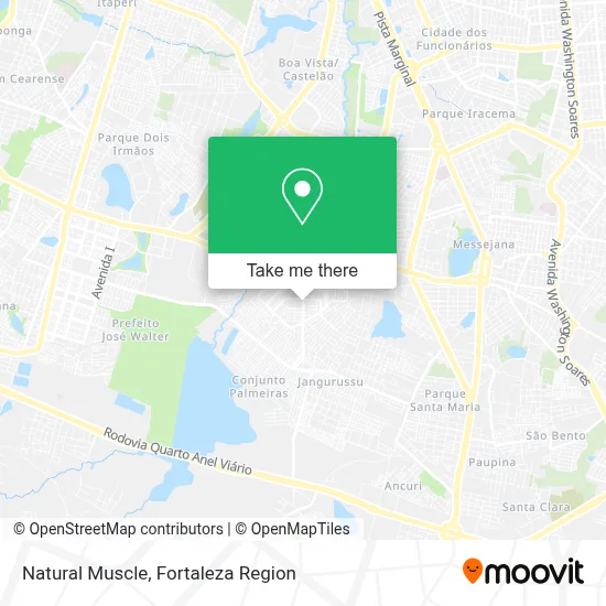 Natural Muscle map
