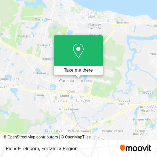 Ricnet-Telecom map