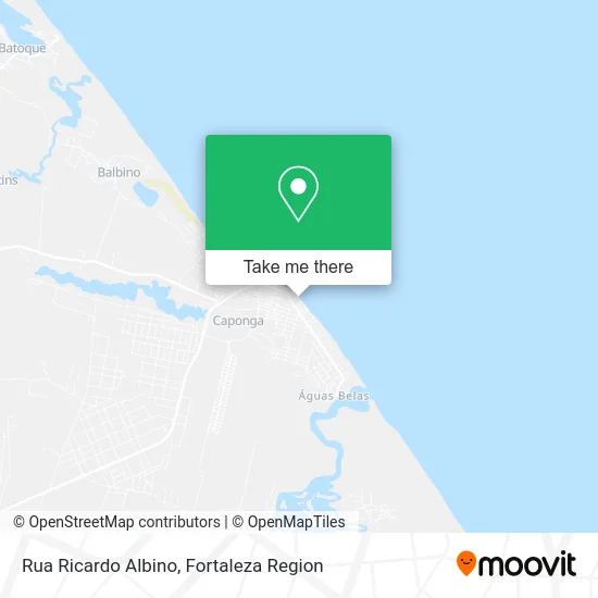 Rua Ricardo Albino map