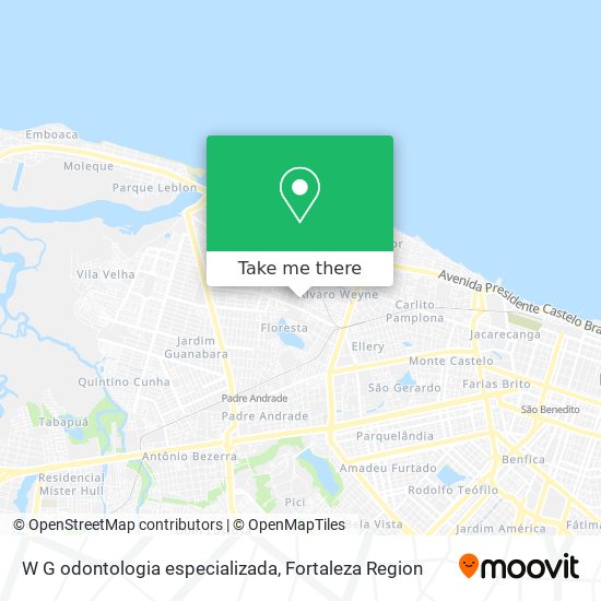 W G odontologia especializada map