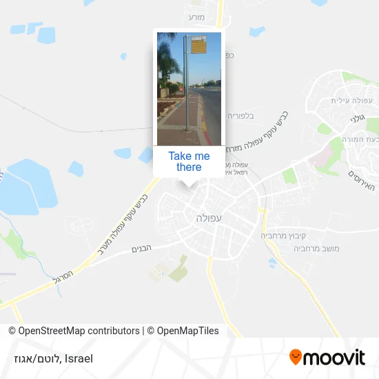 Карта לוטם/אגוז