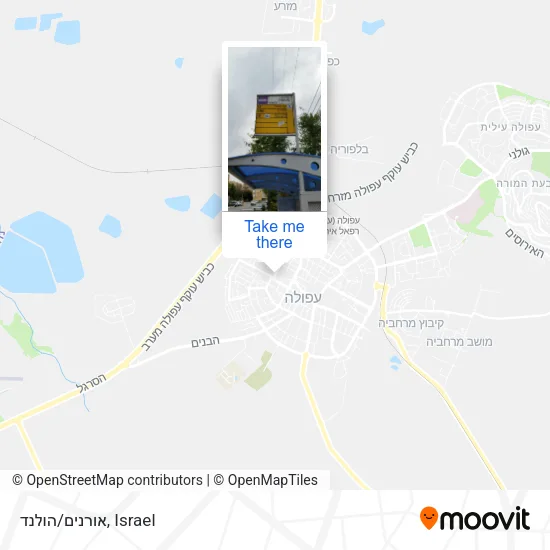 Карта אורנים/הולנד
