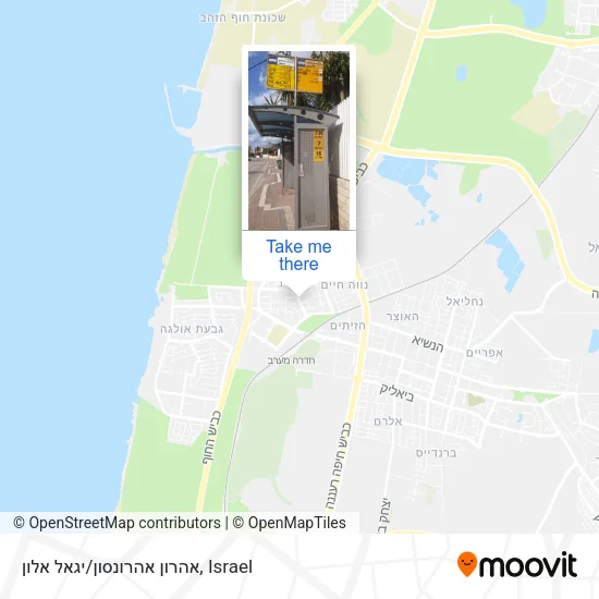 Карта אהרון אהרונסון/יגאל אלון