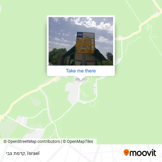 Карта קדמת צבי