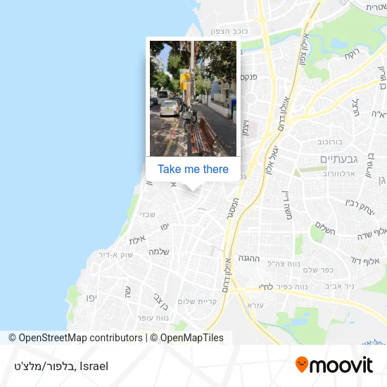 Карта בלפור/מלצ'ט