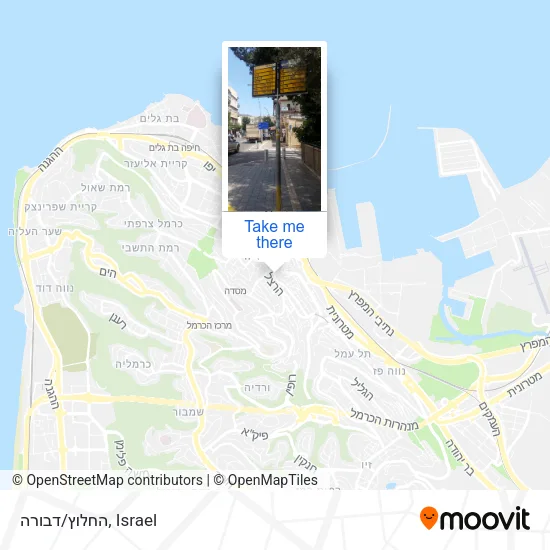 Карта החלוץ/דבורה