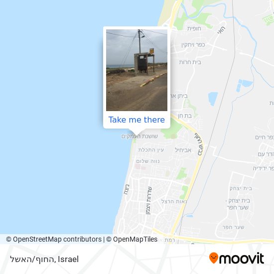 Карта החוף/האשל
