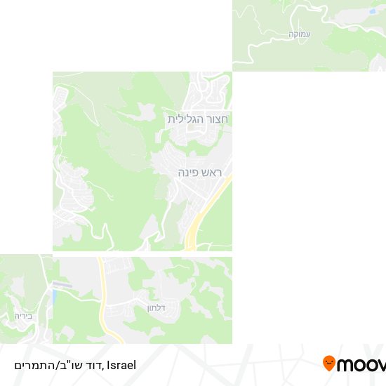 Карта דוד שו''ב/התמרים