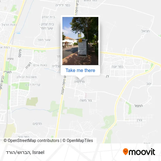 Карта הברוש/הורד