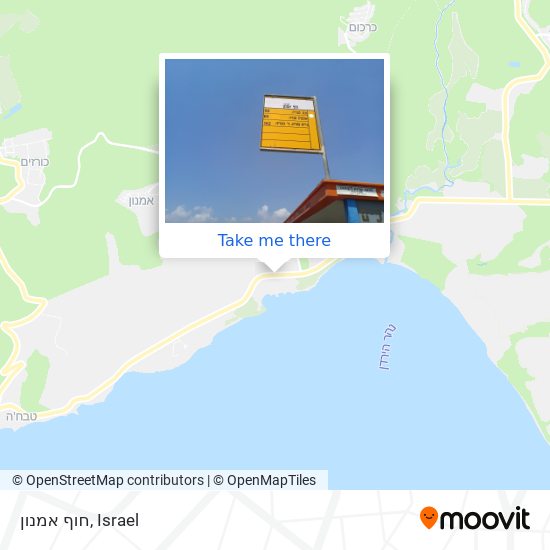 חוף אמנון map