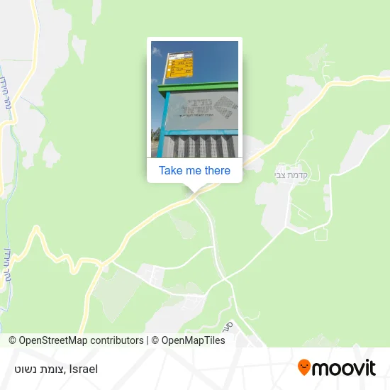 Карта צומת נשוט