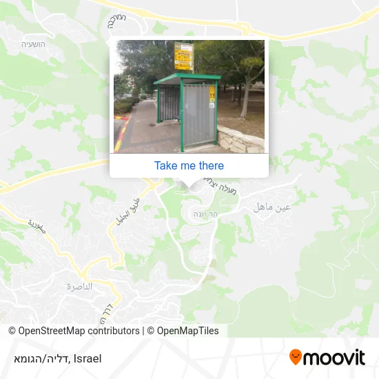 Карта דליה/הגומא