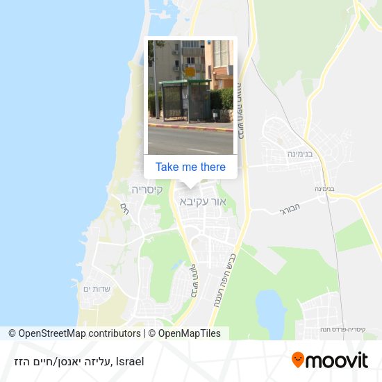 עליזה יאנסן/חיים הזז map