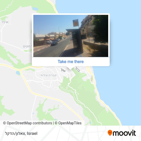 צאלון/הדקל map