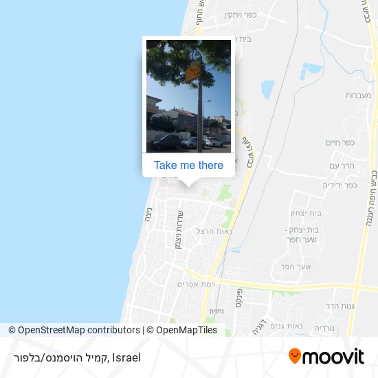Карта קמיל הויסמנס/בלפור