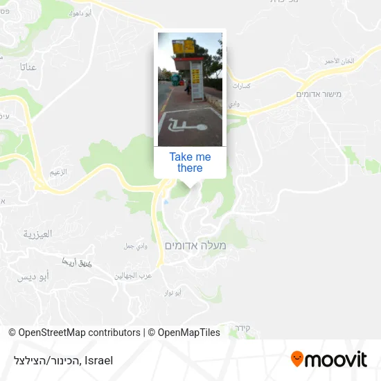 Карта הכינור/הצילצל