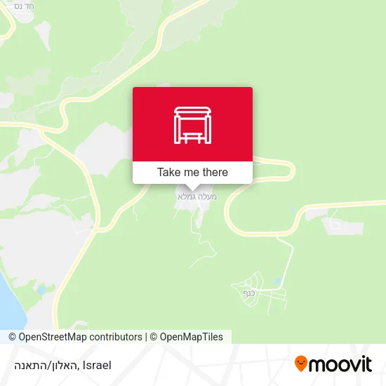 Карта האלון/התאנה