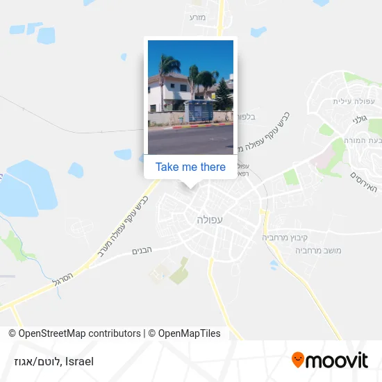 Карта לוטם/אגוז