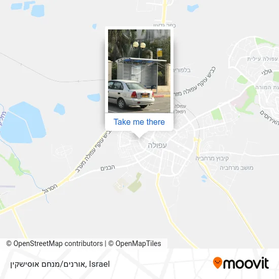 Карта אורנים/מנחם אוסישקין