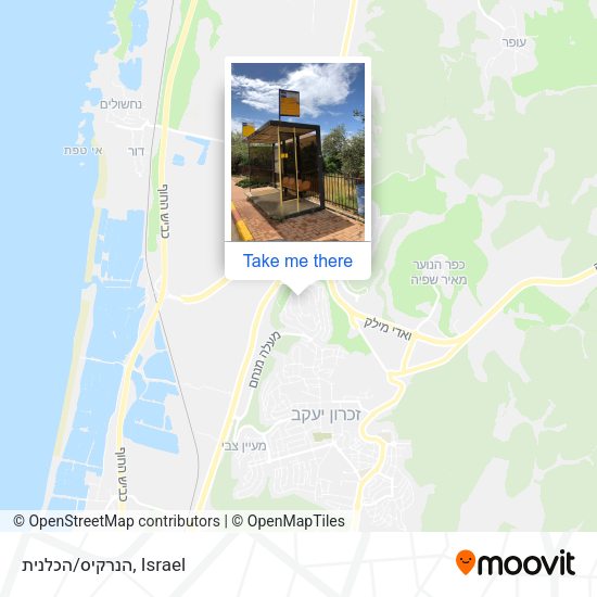 הנרקיס/הכלנית map