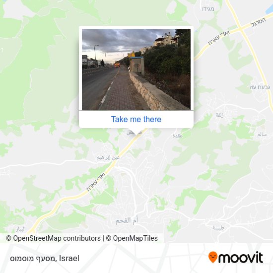 מסעף מוסמוס map