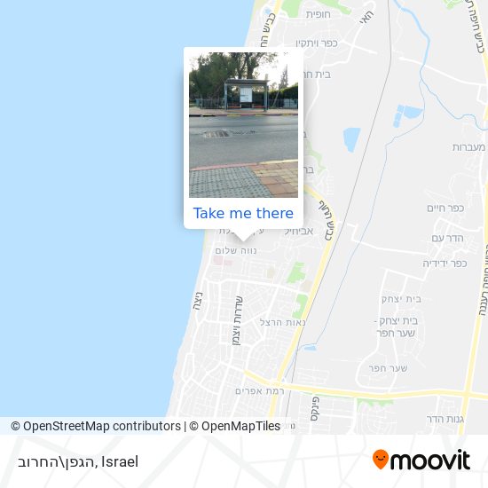 הגפן\החרוב map