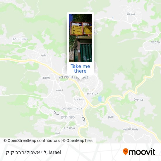 לוי אשכול/הרב קוק map