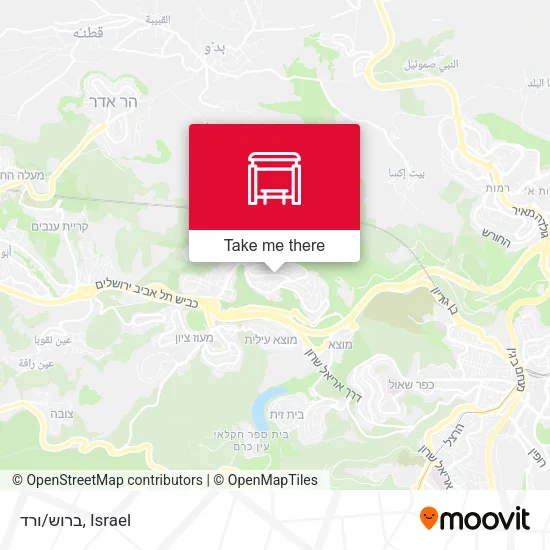 ברוש/ורד map