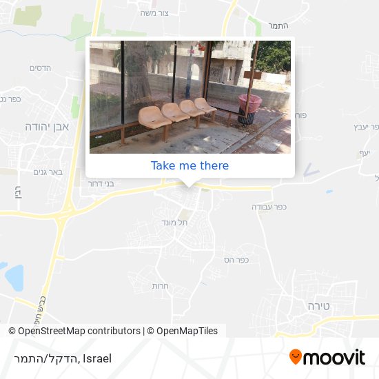 הדקל/התמר map