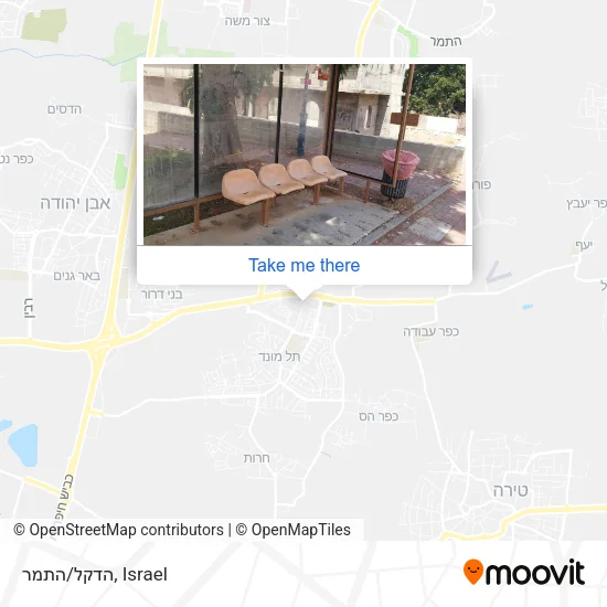 Карта הדקל/התמר