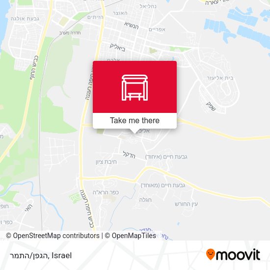 Карта הגפן/התמר