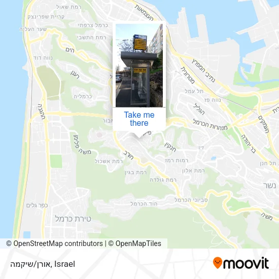 Карта אורן/שיקמה