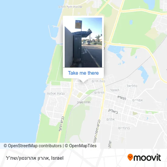 Карта אהרון אהרונסון/שח''ל