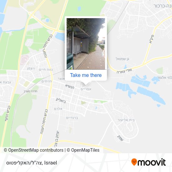 צה''ל/האקליפטוס map