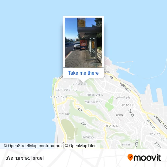 Карта אדמונד פלג