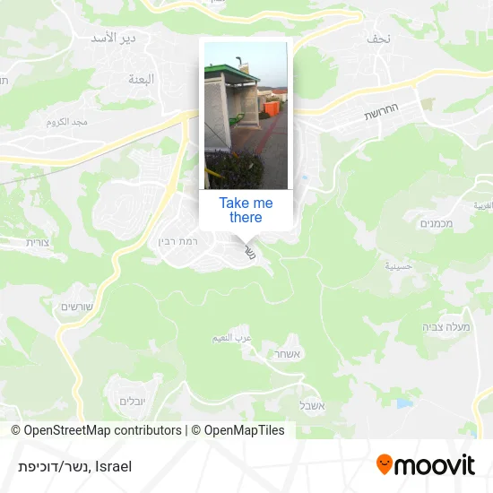 Карта נשר/דוכיפת