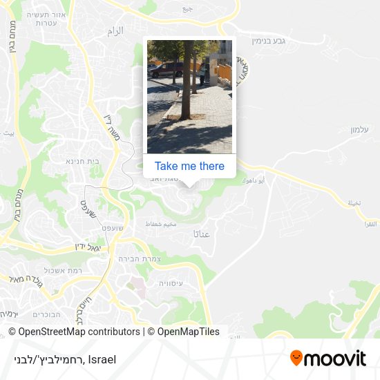 רחמילביץ'/לבני map