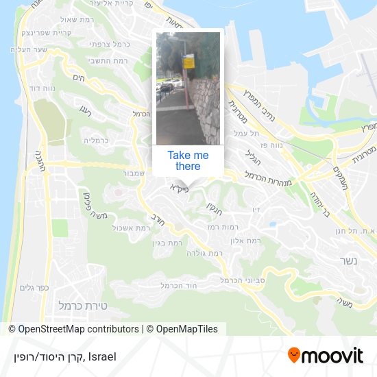 Карта קרן היסוד/רופין