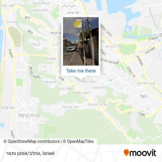 Карта סחלב/אמנון ותמר