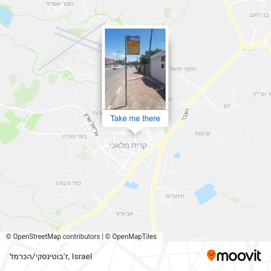 ז'בוטינסקי/הכרמל map